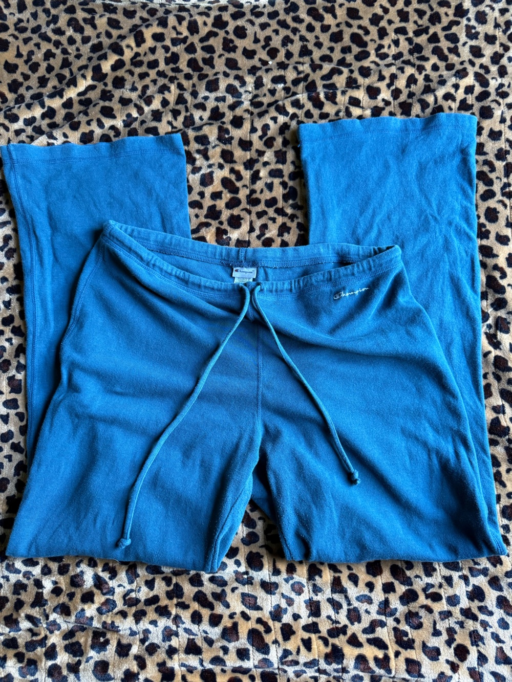 Champion Teal Drawstring Sweatpants